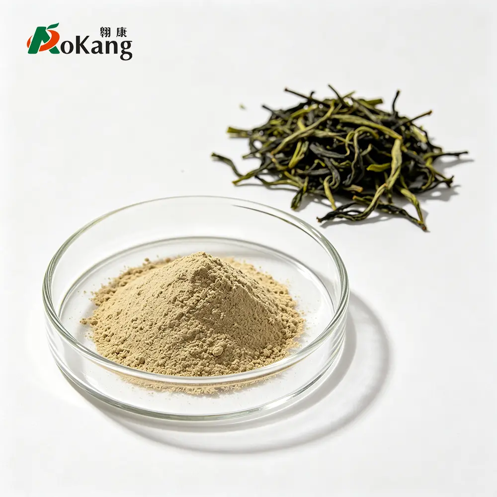 Green Tea Extract Powder